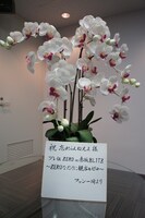 無観客パブリックビューイングスペースに届けられたファンからの胡蝶蘭。