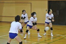 「スパルタ！超高速バレーボール」撮影中のゴールデンボンバー。