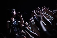 いずこねこ（撮影：西槇太一）