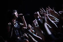 いずこねこ（撮影：西槇太一）