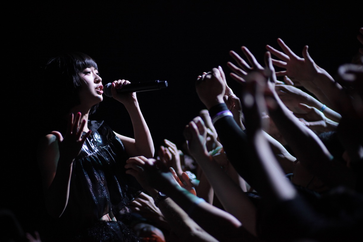 いずこねこ（撮影：西槇太一）