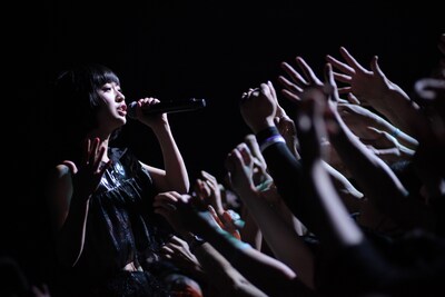 いずこねこ（撮影：西槇太一）