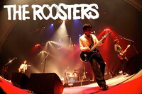 THE ROOSTERS