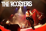 THE ROOSTERS