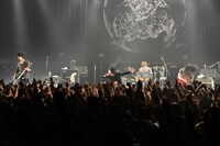 THE BACK HORN（撮影：橋本塁[SOUND SHOOTER]）