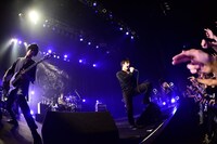 THE BACK HORN（撮影：橋本塁[SOUND SHOOTER]）