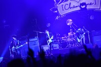 「We Don't Learn Anything Tour 2013-2014」東京・日本武道館公演の様子。（Photo by AZUSA TAKADA）