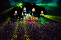 上ちゃんをモチーフにしたような観音菩薩像が天井からつりさげられる演出も。（撮影：浜野カズシ、たもりみすず）