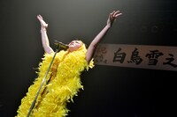 黄色い羽根をまとって「愛の讃歌」を歌い上げる白鳥雪之丞。