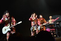 DISH//「D//PINK」東京・中野サンプラザホール公演の様子。