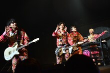 DISH//「D//PINK」東京・中野サンプラザホール公演の様子。