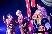 DISH//「D//PINK」東京・中野サンプラザホール公演の様子。