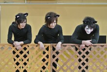 猫に扮した喜矢武豊（Gita-）、鬼龍院翔（Vo-karu）、樽美酒研二（Doramu）。