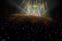 東京公演第1部「江戸むらさき（仮）」の様子。