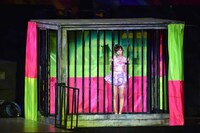 渡辺美優紀 (c)AKS