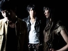 a flood of circle、最新ライブDVDは野音ワンマン公演
