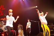 4月9日に東京・Zepp Tokyoで行われた「グループ魂 vs 氣志團 ~超絶魂2 お台場大パニック!超激突\(‘jjj’)/~」アンコールの様子。