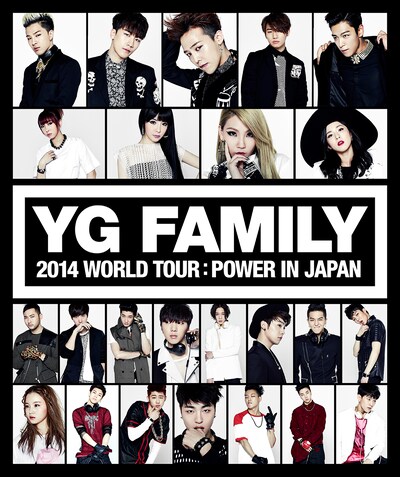 「YG FAMILY WORLD TOUR 2014 -POWER- in Japan」メインビジュアル