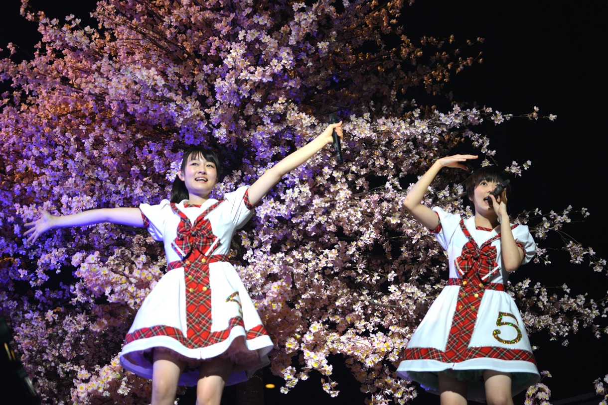 桜の木の下で歌う杏野なつ（左）と安本彩花（右）。