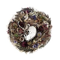 THE NOVEMBERS「今日も生きたね」ジャケット