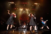 「One Night Carnival」をバンド演奏で披露する乃木團。