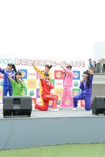 チームしゃちほこ