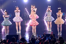 チームしゃちほこ「Zepp FINAL! 2014～ありがとうを伝えたくて～ 坂本遥奈『手羽先キミドリJK（予）』」の様子。