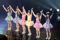チームしゃちほこ「Zepp FINAL! 2014～ありがとうを伝えたくて～ 坂本遥奈『手羽先キミドリJK（予）』」の様子。