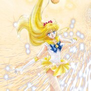 「乙女のポリシー / 風も空もきっと」アナログ盤ジャケット(c)Naoko Takeuchi