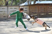 「警察犬の腹を探るんだワン！」撮影中の様子。