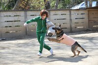 「警察犬の腹を探るんだワン！」撮影中の様子。