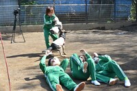 「警察犬の腹を探るんだワン！」撮影中の様子。