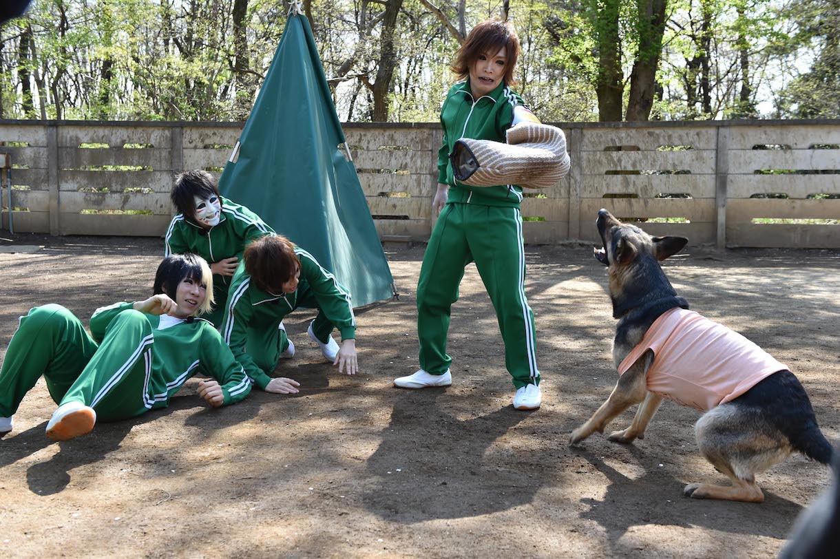 「警察犬の腹を探るんだワン！」撮影中の様子。