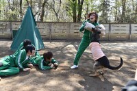 「警察犬の腹を探るんだワン！」撮影中の様子。