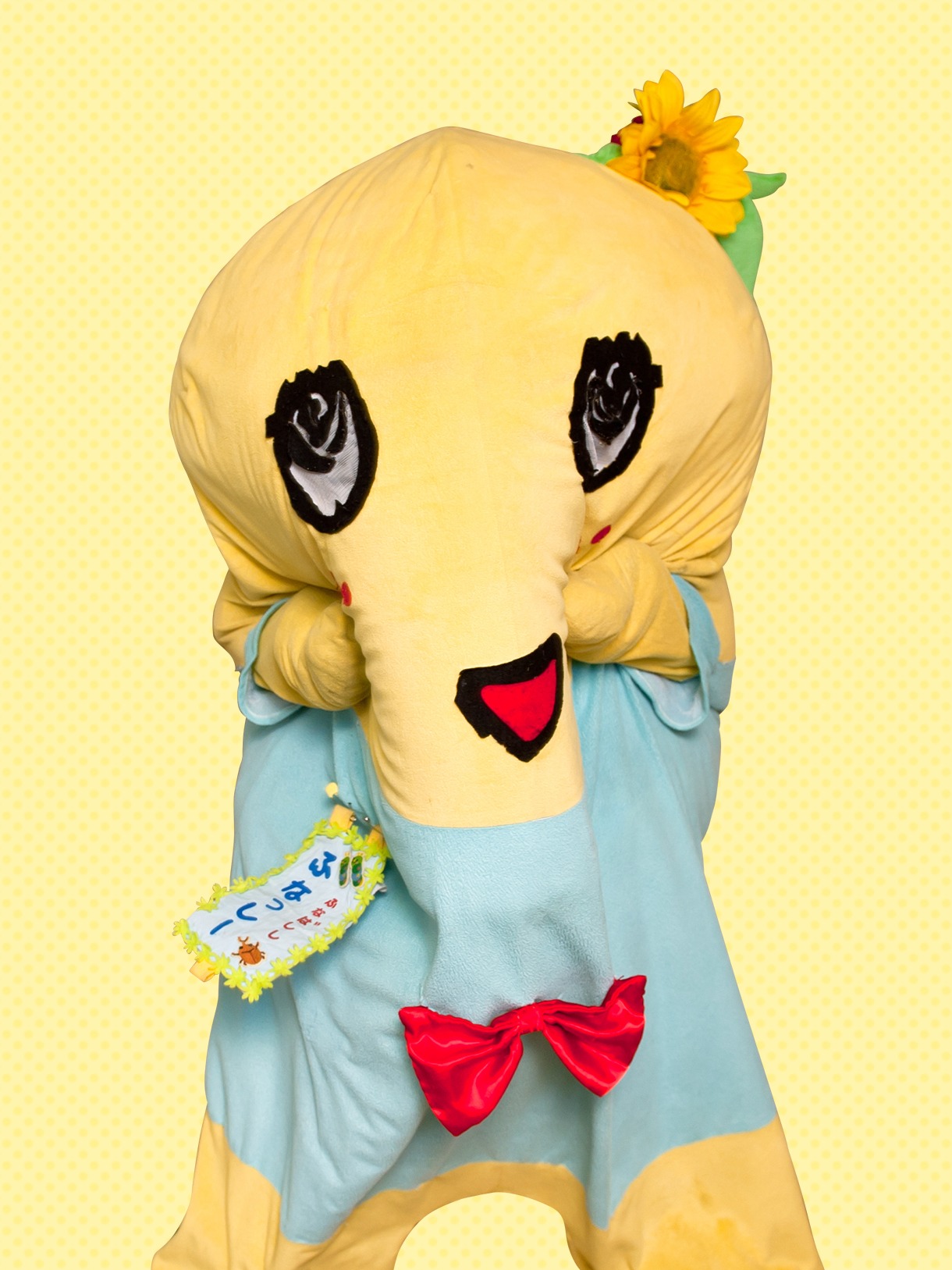 ふなっしー