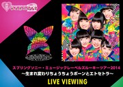 「私立恵比寿中学スプリングソニー・ミュージックレーベルズルーキーツアー2014~生まれ変わりちょうちょうボーンとエトセトラ~ ライブ・ビューイング」告知画像