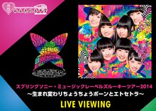 「私立恵比寿中学スプリングソニー・ミュージックレーベルズルーキーツアー2014～生まれ変わりちょうちょうボーンとエトセトラ～ ライブ・ビューイング」告知画像