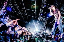 FAKE?（Photo by JulenPhoto）