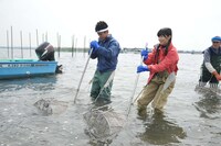 漁に挑戦する武井壮、指原莉乃。 (c)テレビ朝日