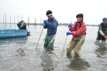 漁に挑戦する武井壮、指原莉乃。 (c)テレビ朝日