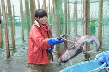 漁に挑戦する指原莉乃。 (c)テレビ朝日