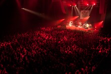 モーモールルギャバン「『乱れうち。』からの『打止め！』」Zepp Tokyo公演の様子。（撮影：鳥居洋介）