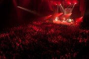 モーモールルギャバン「『乱れうち。』からの『打止め!』」Zepp Tokyo公演の様子。(撮影:鳥居洋介)