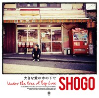 SHOGO「大きな愛の木の下で」ジャケット