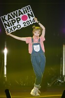 「KAWAii!! NiPPON EXPO 2014」ファッションショーの様子。