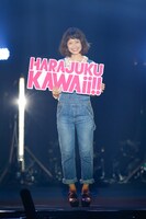 「KAWAii!! NiPPON EXPO 2014」ファッションショーの様子。