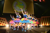 チームしゃちほこ「店長サミット!!! ～ありがとうを伝えきれなくて～」ライブ本編の様子。