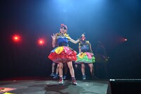 チームしゃちほこ「店長サミット!!! ～ありがとうを伝えきれなくて～」ライブ本編の様子。