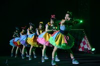 チームしゃちほこ「店長サミット!!! ～ありがとうを伝えきれなくて～」ライブ本編の様子。