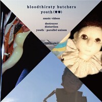 「bloodthirsty butchers / youth（青春）MV3部作 DVD＋Tシャツ」DVDジャケットパターン1。